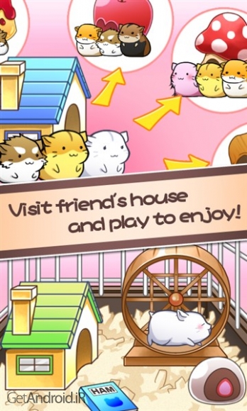 دانلود بازی Hamster Life اندروید