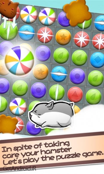 دانلود بازی Hamster Life اندروید