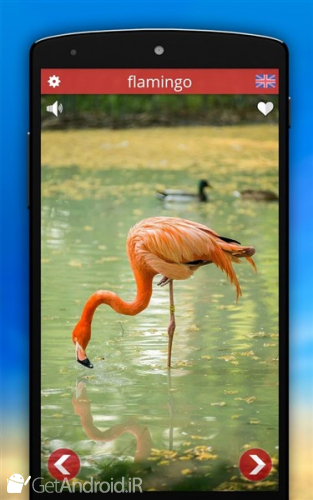 دانلود نرم افزار Animal sounds اندروید