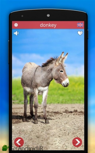 دانلود نرم افزار Animal sounds اندروید