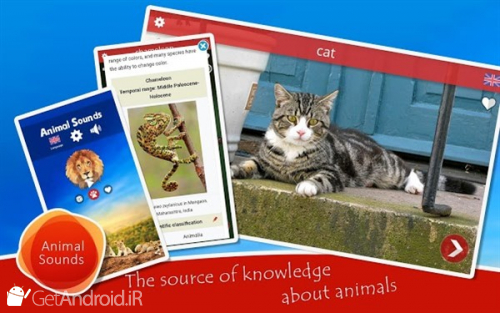 دانلود نرم افزار Animal sounds اندروید