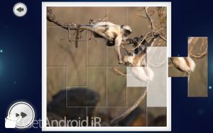 دانلود IMAGEine Premium اندروید