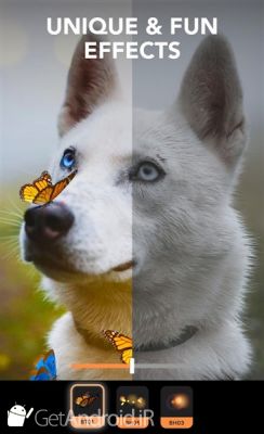 دانلود Enlight Pixaloop - Photo Animator & Photo Editor اندروید