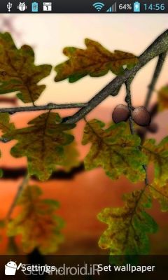 دانلود Autumn Leaves in HD Gyro 3D XL  Parallax Wallpaper اندروید