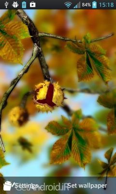 دانلود Autumn Leaves in HD Gyro 3D XL  Parallax Wallpaper اندروید