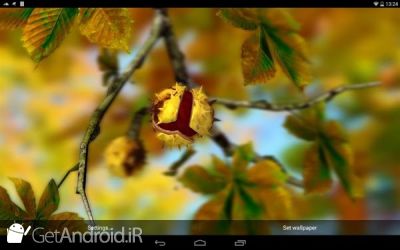 دانلود Autumn Leaves in HD Gyro 3D XL  Parallax Wallpaper اندروید