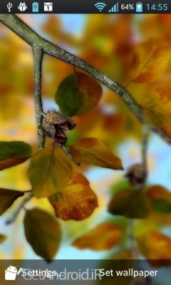 دانلود Autumn Leaves in HD Gyro 3D XL  Parallax Wallpaper اندروید