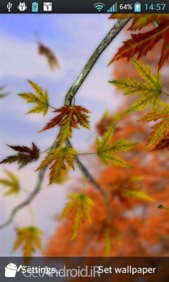 دانلود Autumn Leaves in HD Gyro 3D XL  Parallax Wallpaper اندروید