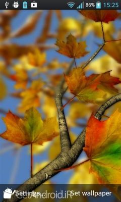 دانلود Autumn Leaves in HD Gyro 3D XL  Parallax Wallpaper اندروید