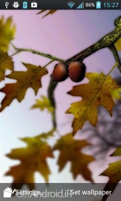 دانلود Autumn Leaves in HD Gyro 3D XL  Parallax Wallpaper اندروید