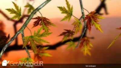 دانلود Autumn Leaves in HD Gyro 3D XL  Parallax Wallpaper اندروید