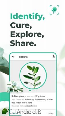 دانلود PictureThis Identify Plant, Flower, Weed and More اندروید