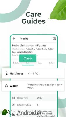 دانلود PictureThis Identify Plant, Flower, Weed and More اندروید