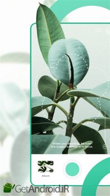 دانلود PictureThis Identify Plant, Flower, Weed and More اندروید