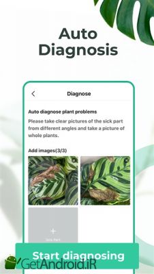 دانلود PictureThis Identify Plant, Flower, Weed and More اندروید