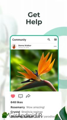 دانلود PictureThis Identify Plant, Flower, Weed and More اندروید