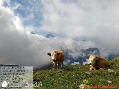 دانلود AngleCam Pro - Camera with pitch & azimuth angles اندروید