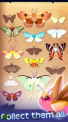 دانلود Flutter Starlight اندروید