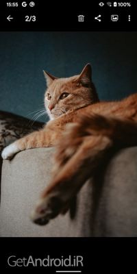 دانلود بازی Gallery اندروید