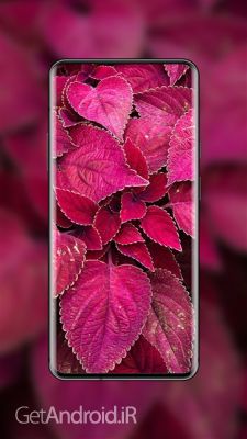 دانلود برنامه 4K Wallpaper اندروید