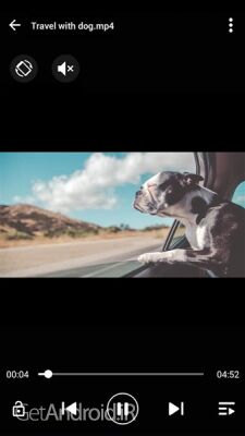 دانلود برنامه File Manager اندروید